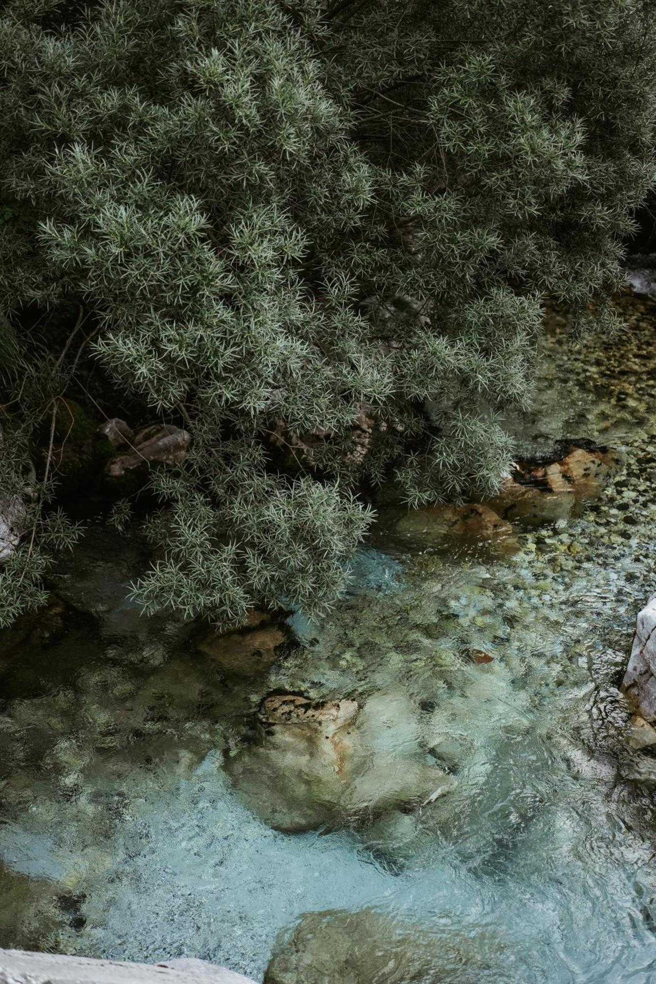 Valbona Resort & Spa Экстерьер фото